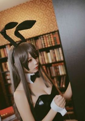 妙警贼探第三季